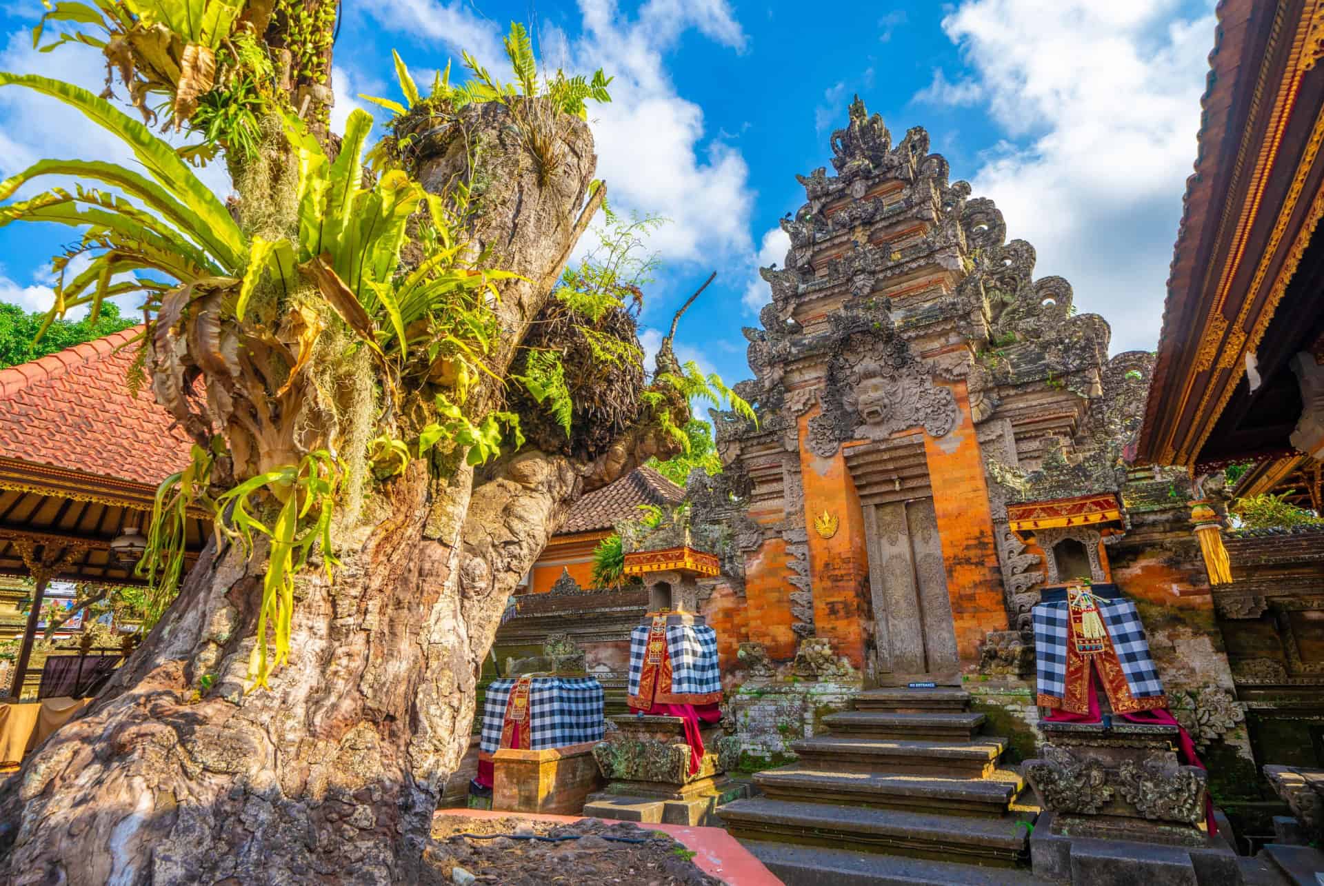 Que faire à Ubud ?