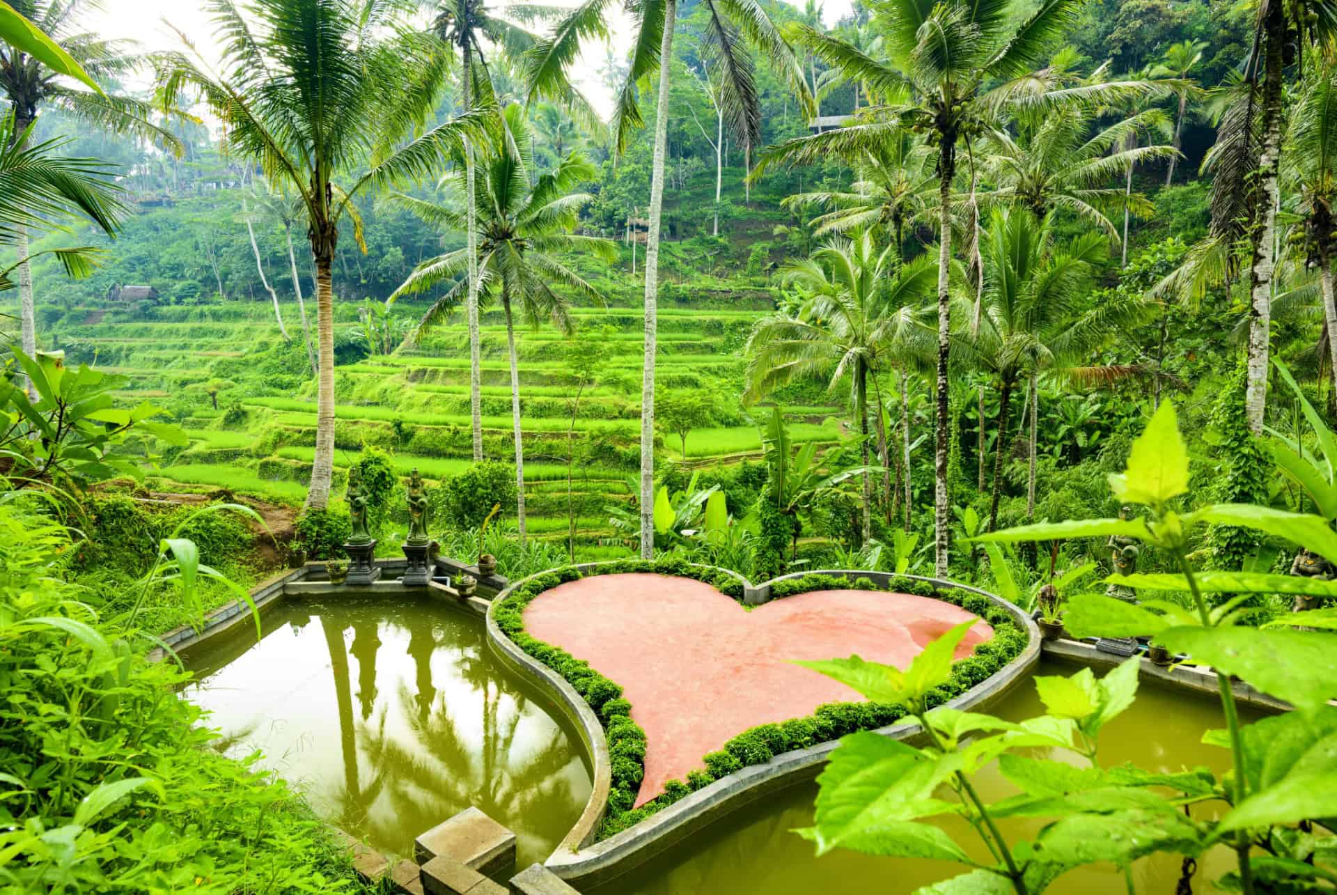 Saint-Valentin à Bali