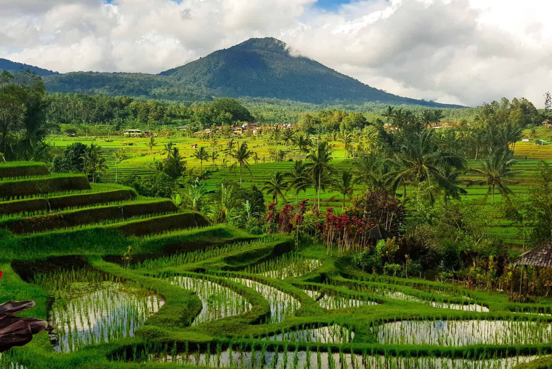 Bali en septembre