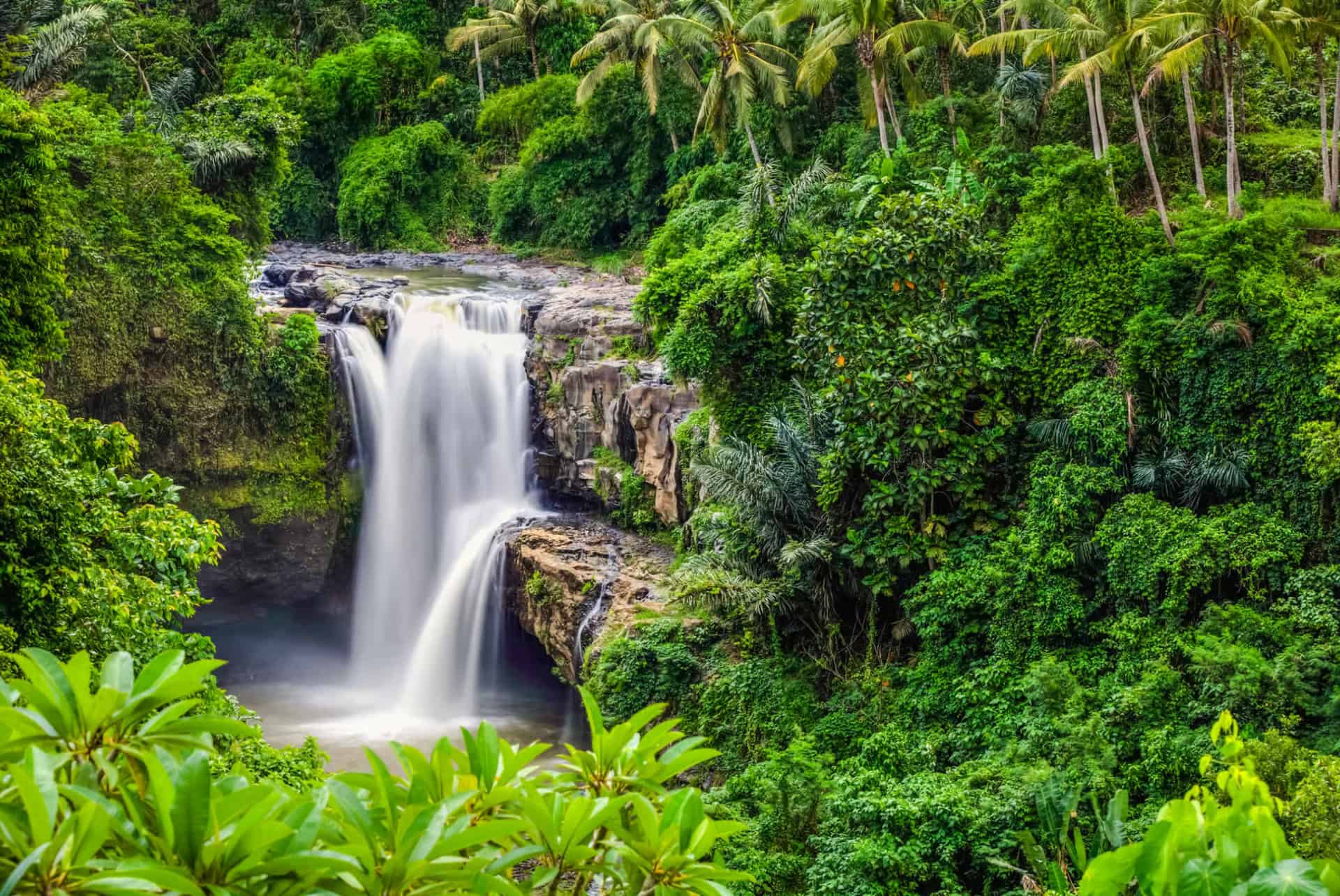 cascade dans la region de ubud