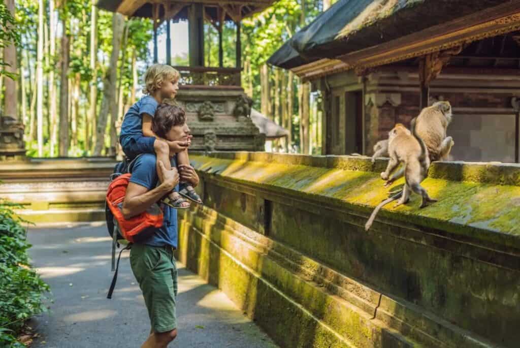 Forêt des singes et balançoire dans la jungle