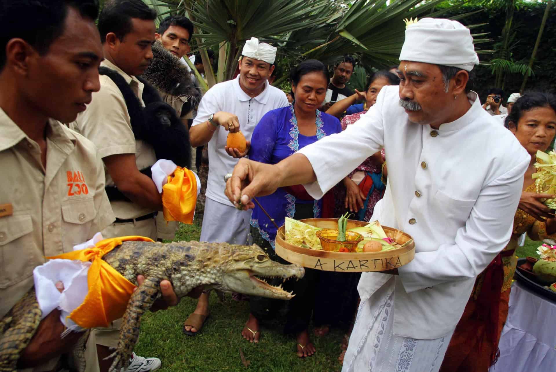 tumpek bali en septembre