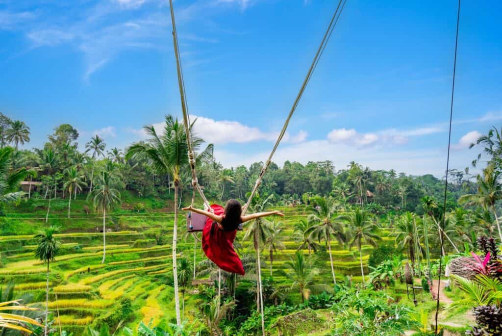 Excursion à Ubud : cascades, rizières en terrasse et forêt des singes