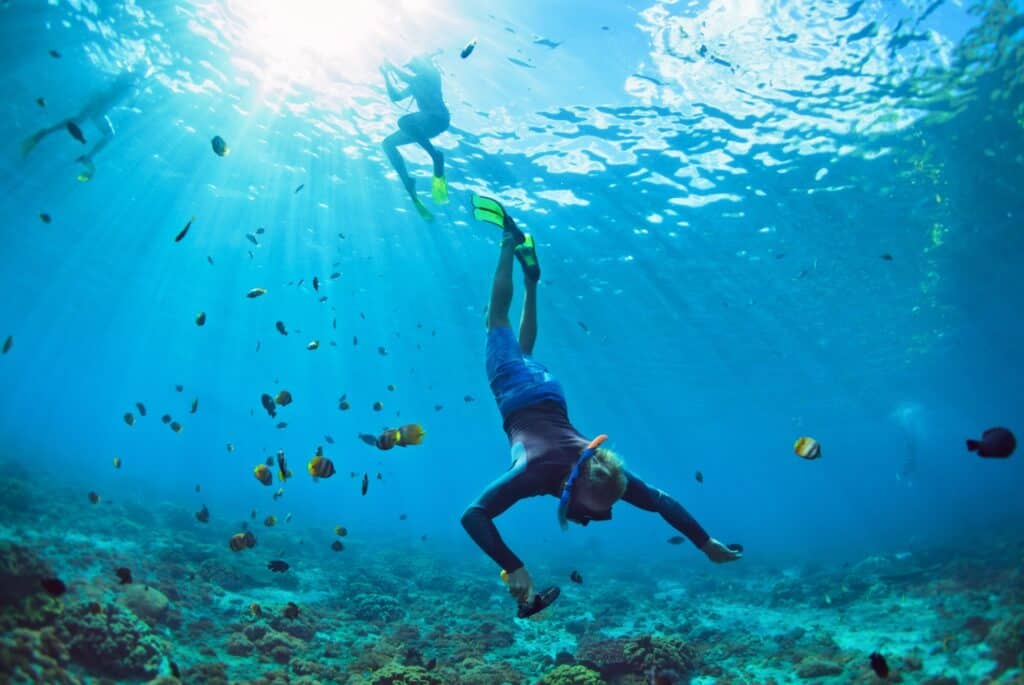Snorkeling vers 3 sites à Nusa Penida