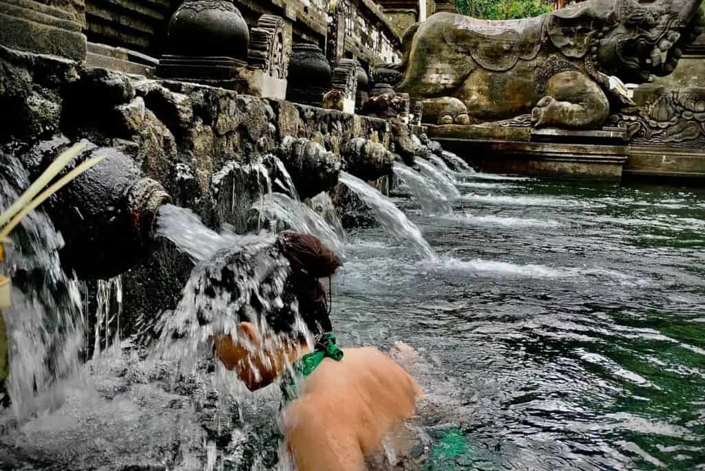 Visite au temple Tirta Empul avec purification spirituelle
