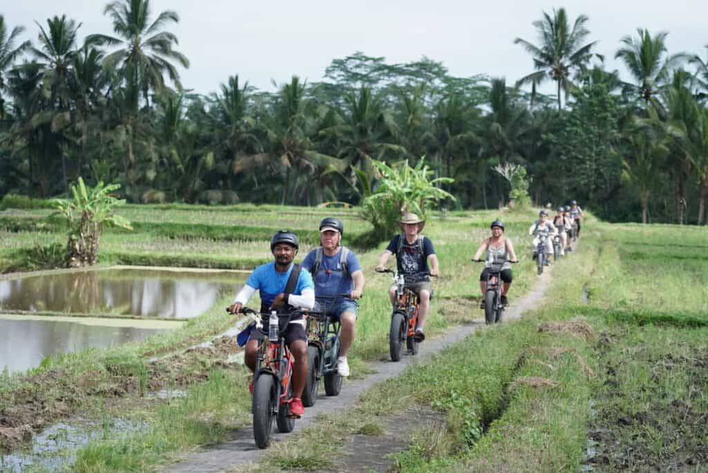 Visite des rizières à vélo