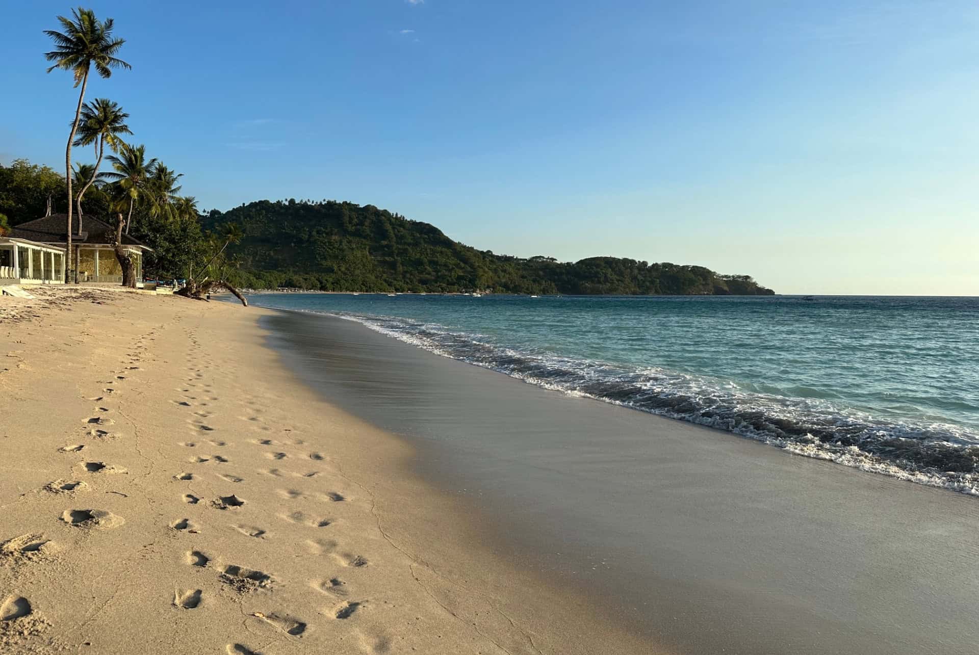 nipah