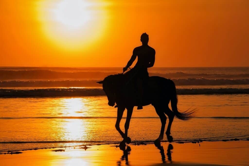 Balade à cheval sur la plage Pigstone et dans les rizières