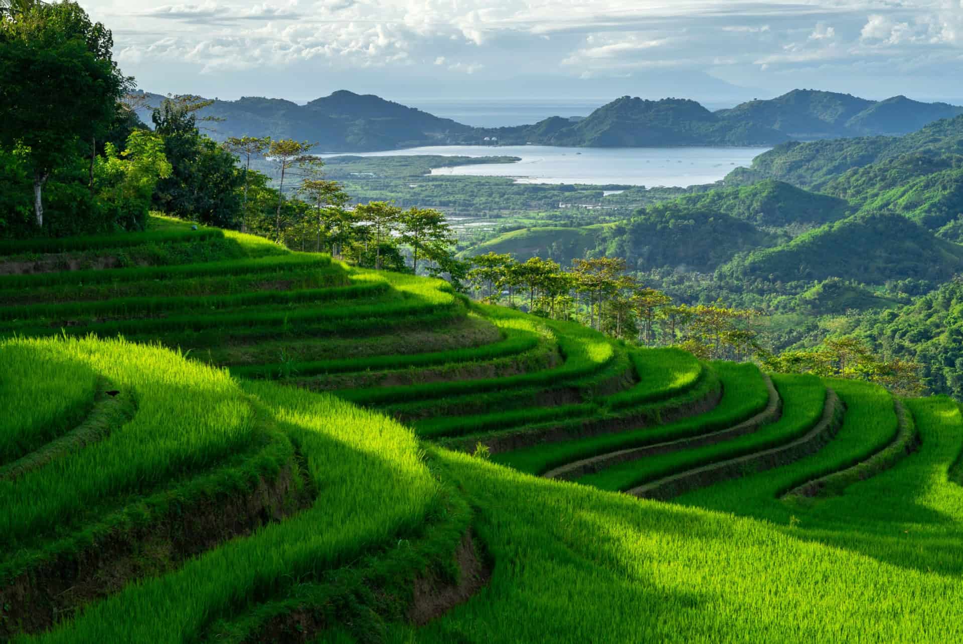Que faire à Lombok ?