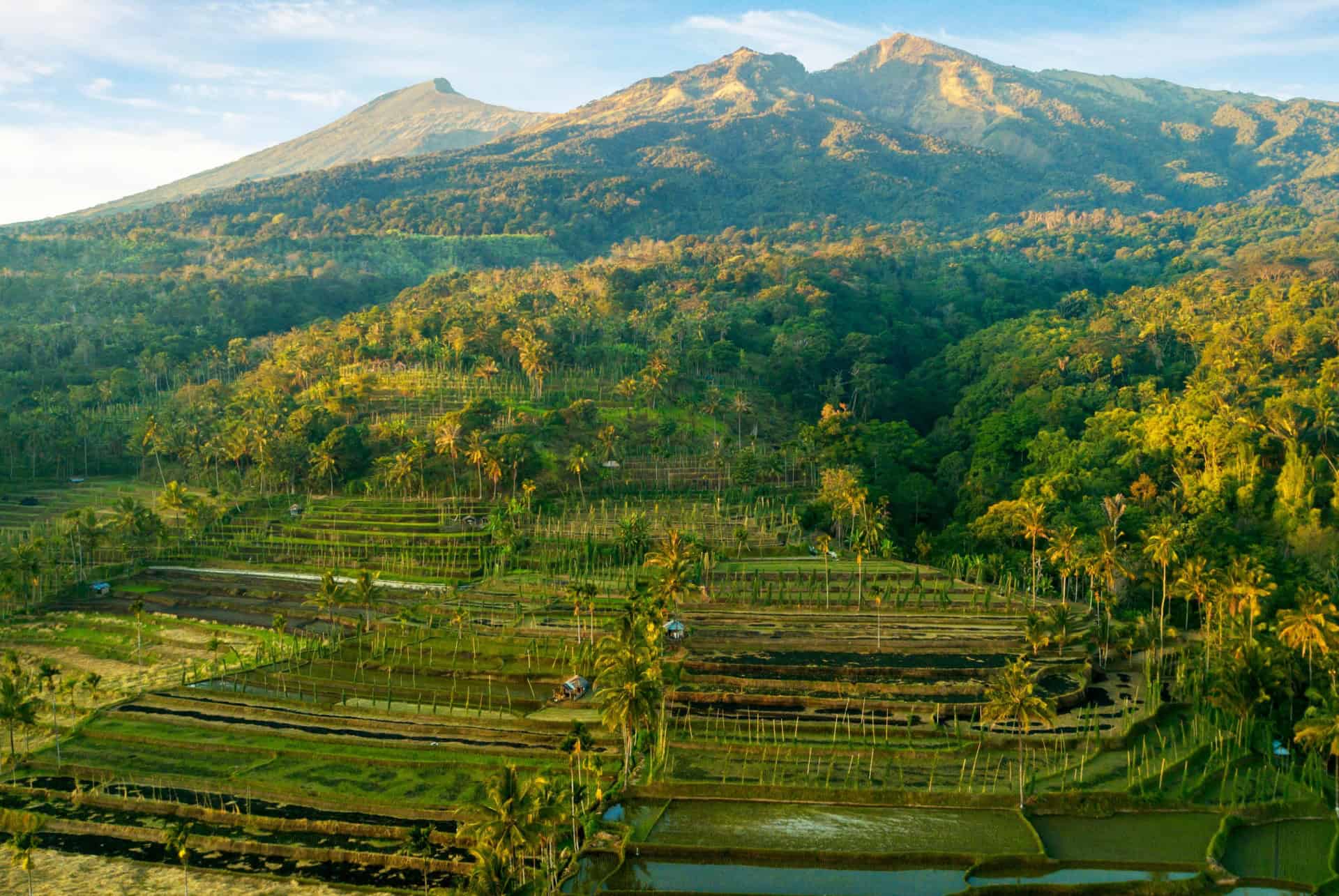 tetebatu