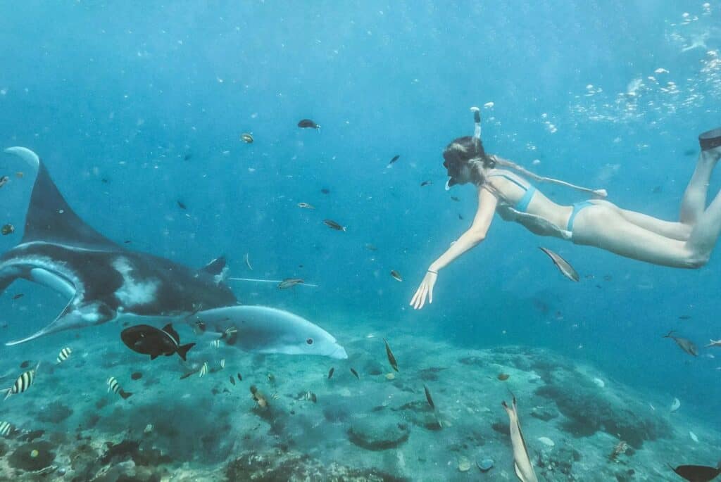 Plongée avec les raies manta à Manta Point