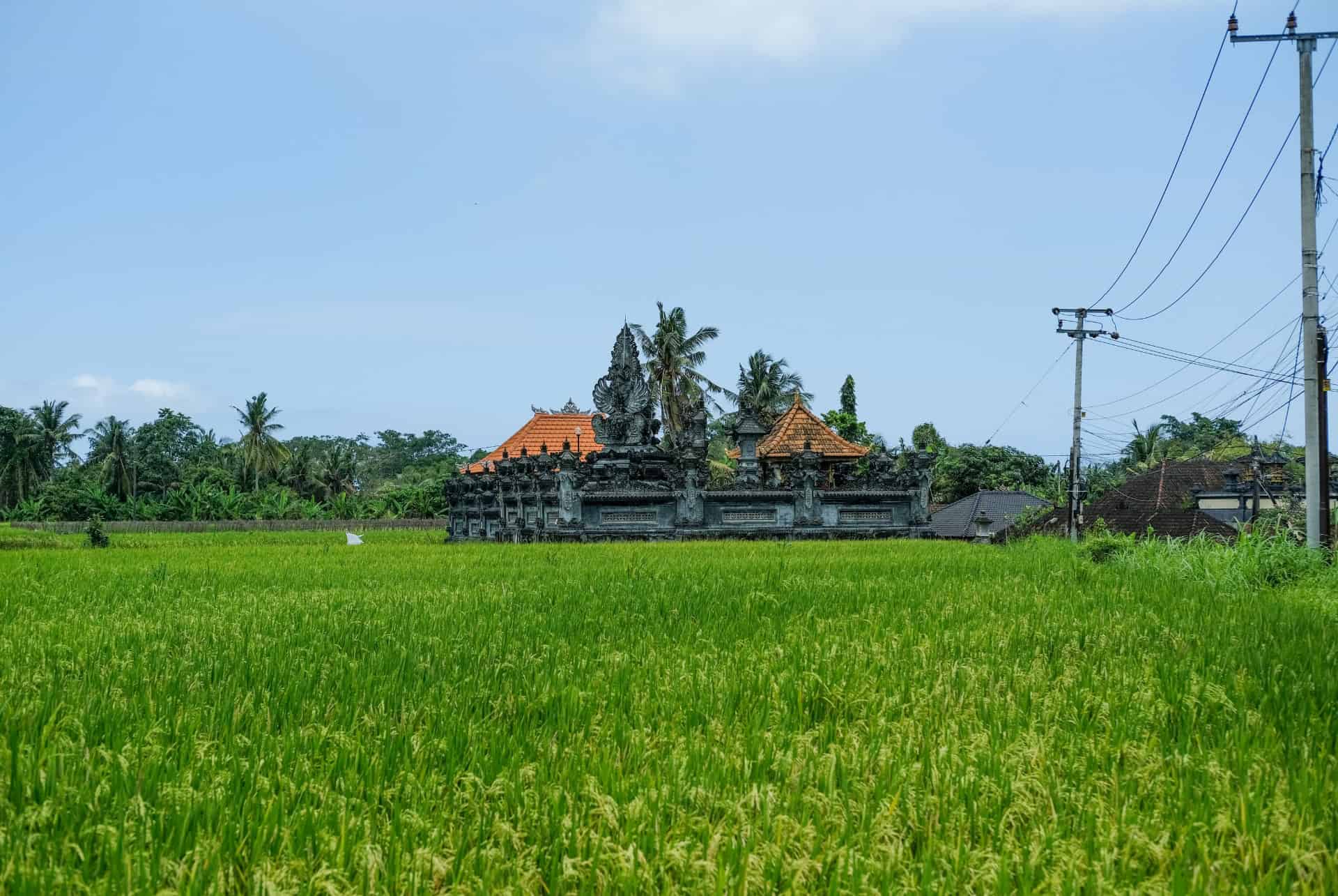 temple campagne bali temple campagne bali