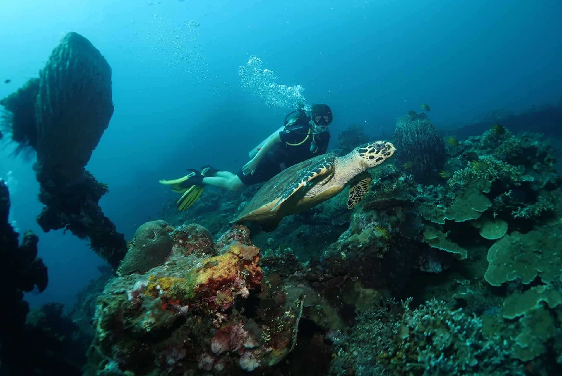 tulamben plongee bali