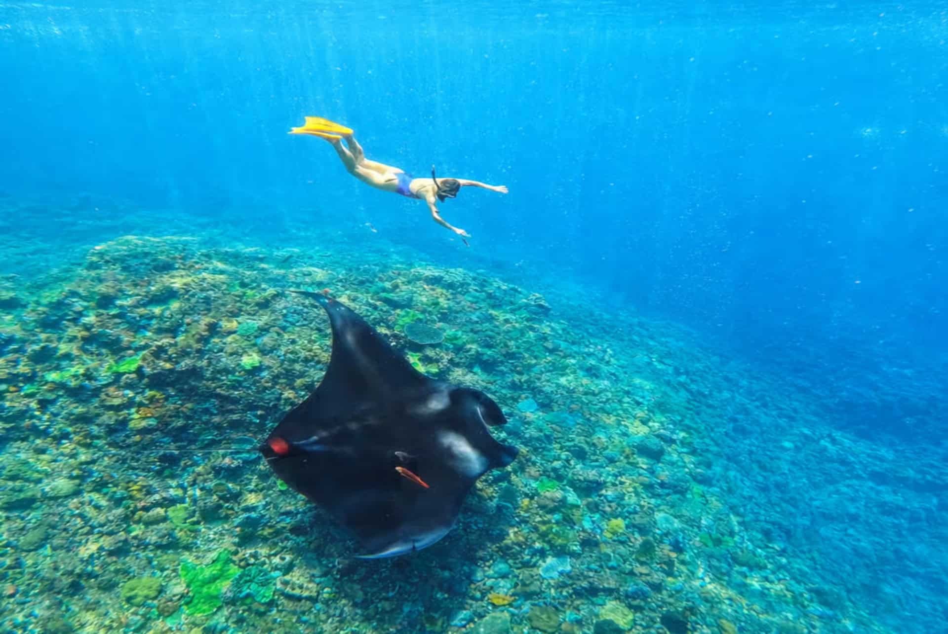 plongee nusa penida retraite spirituelle à Bali