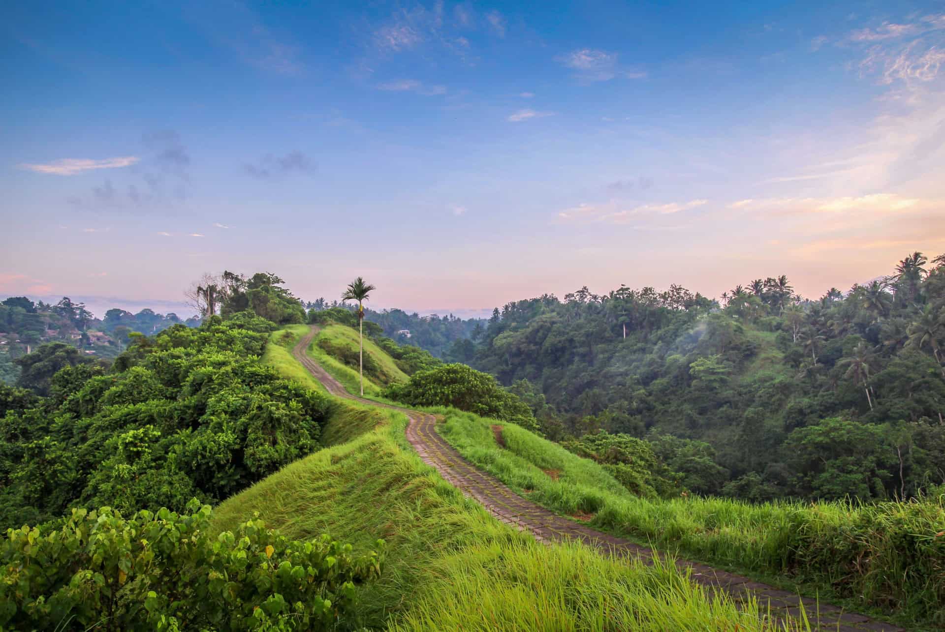 campuhan ridge walk