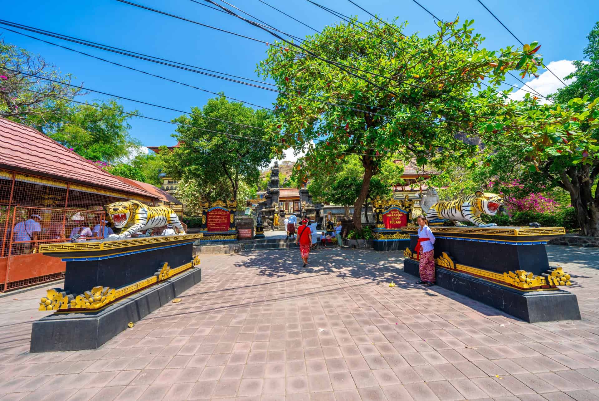 pemuteran