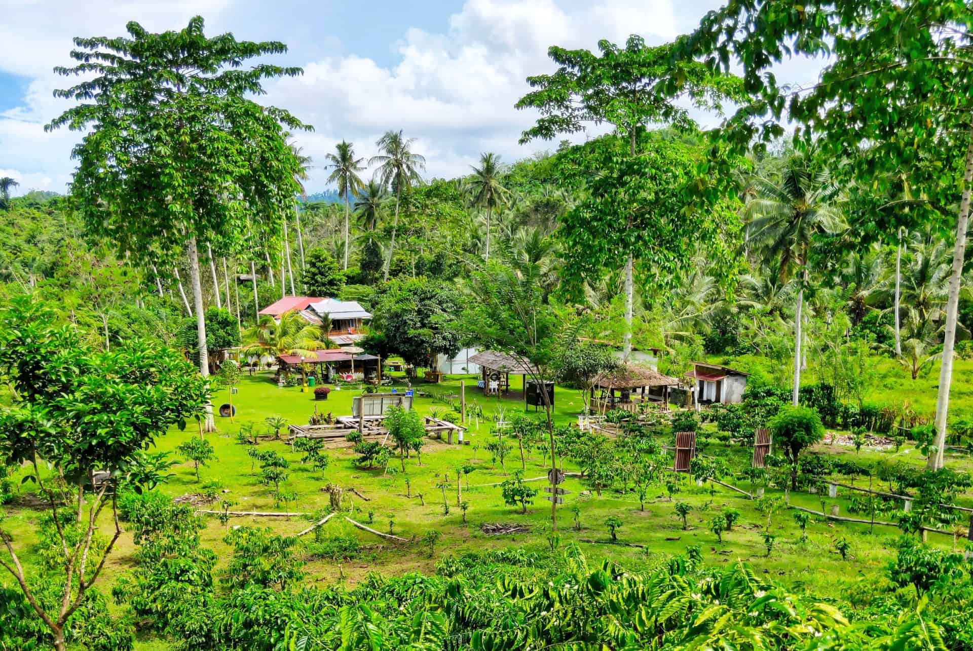 plantation cafe que faire à bali quand il pleut