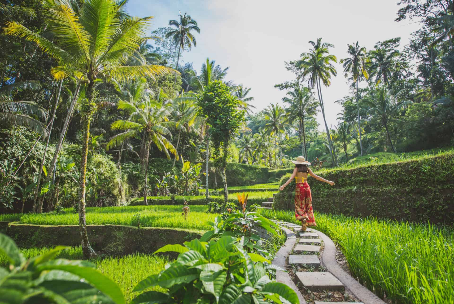 rizieres a ubud