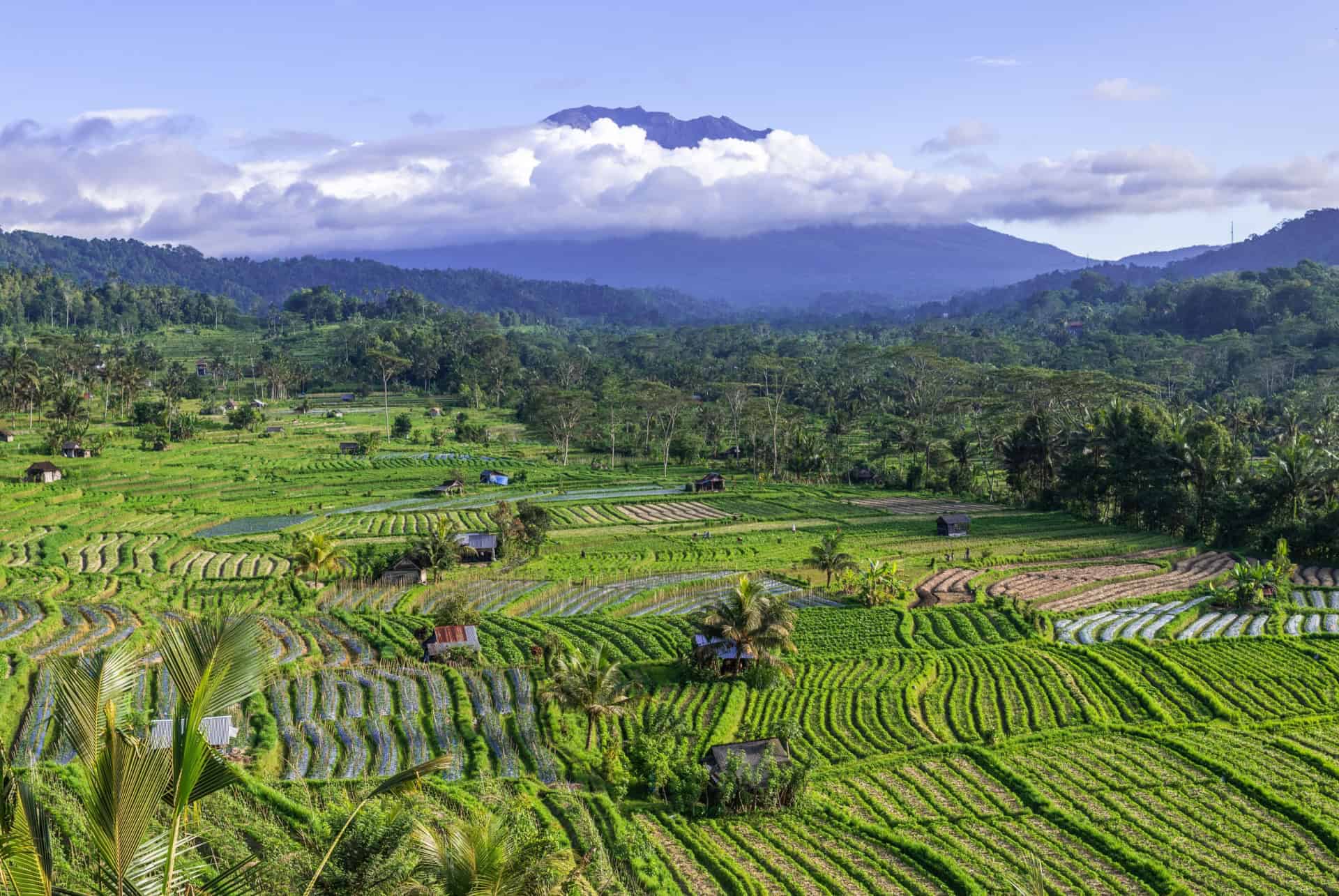 sidemen bali
