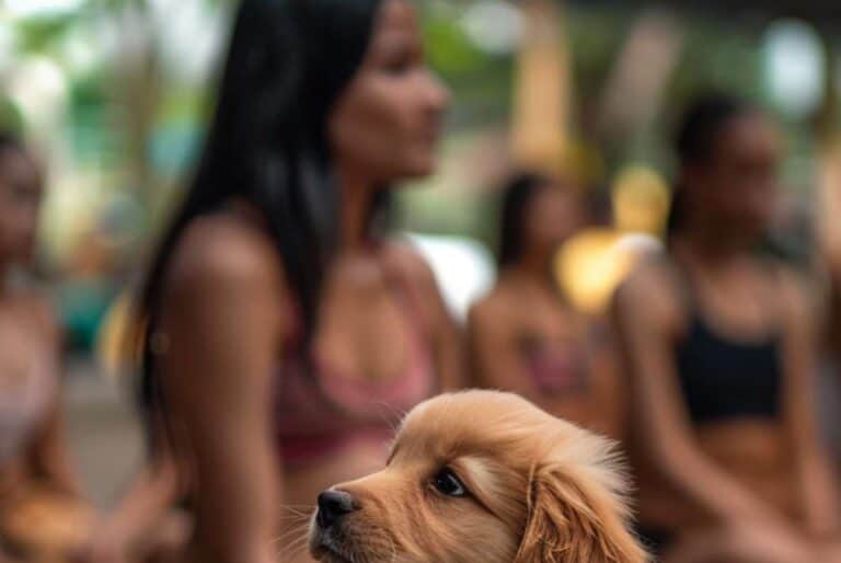 Cours de yoga avec chiots