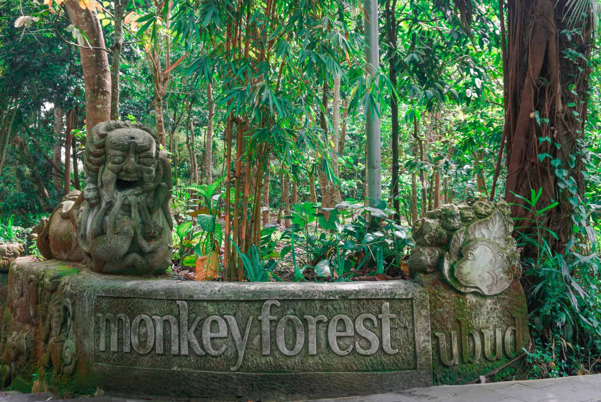 entree de la foret des singes a ubud