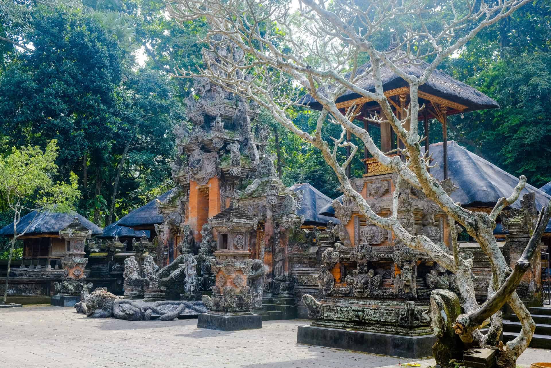 temple dans la foret des singes a ubud
