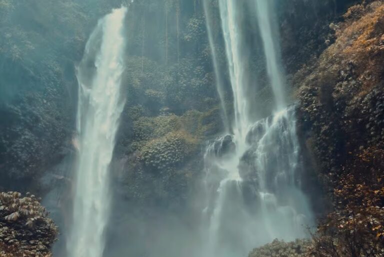 Visite personnalisée d'une journée à la découverte du nord de Bali