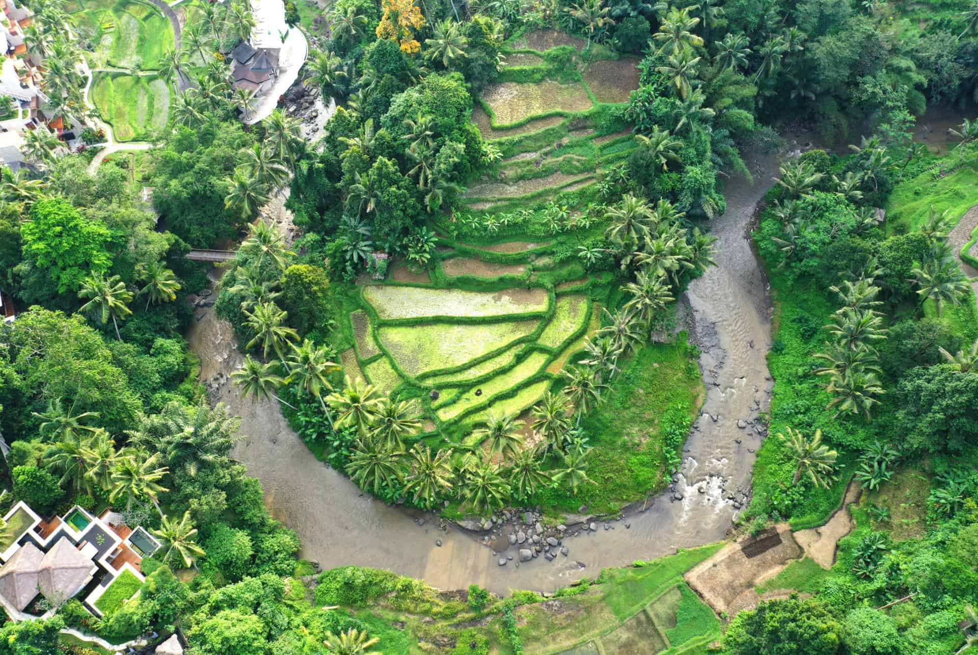 Sayan, Ubud