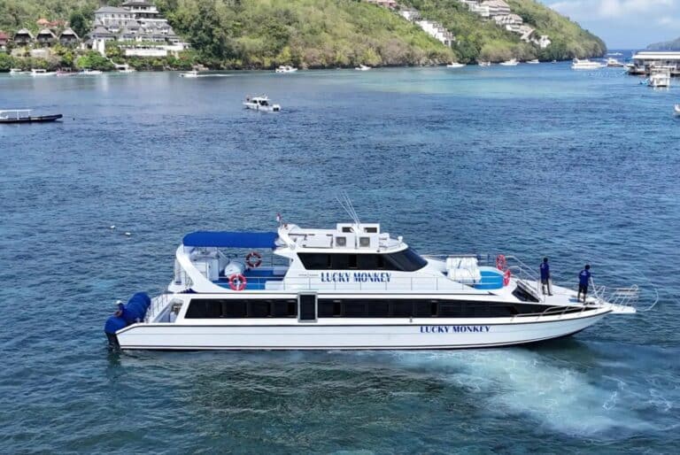 Ferry express à sens unique vers/depuis Nusa Penida