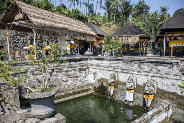 Le meilleur du centre de Bali avec visite de Goa Gajah