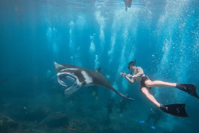 Snorkeling vers l'ouest de Penida