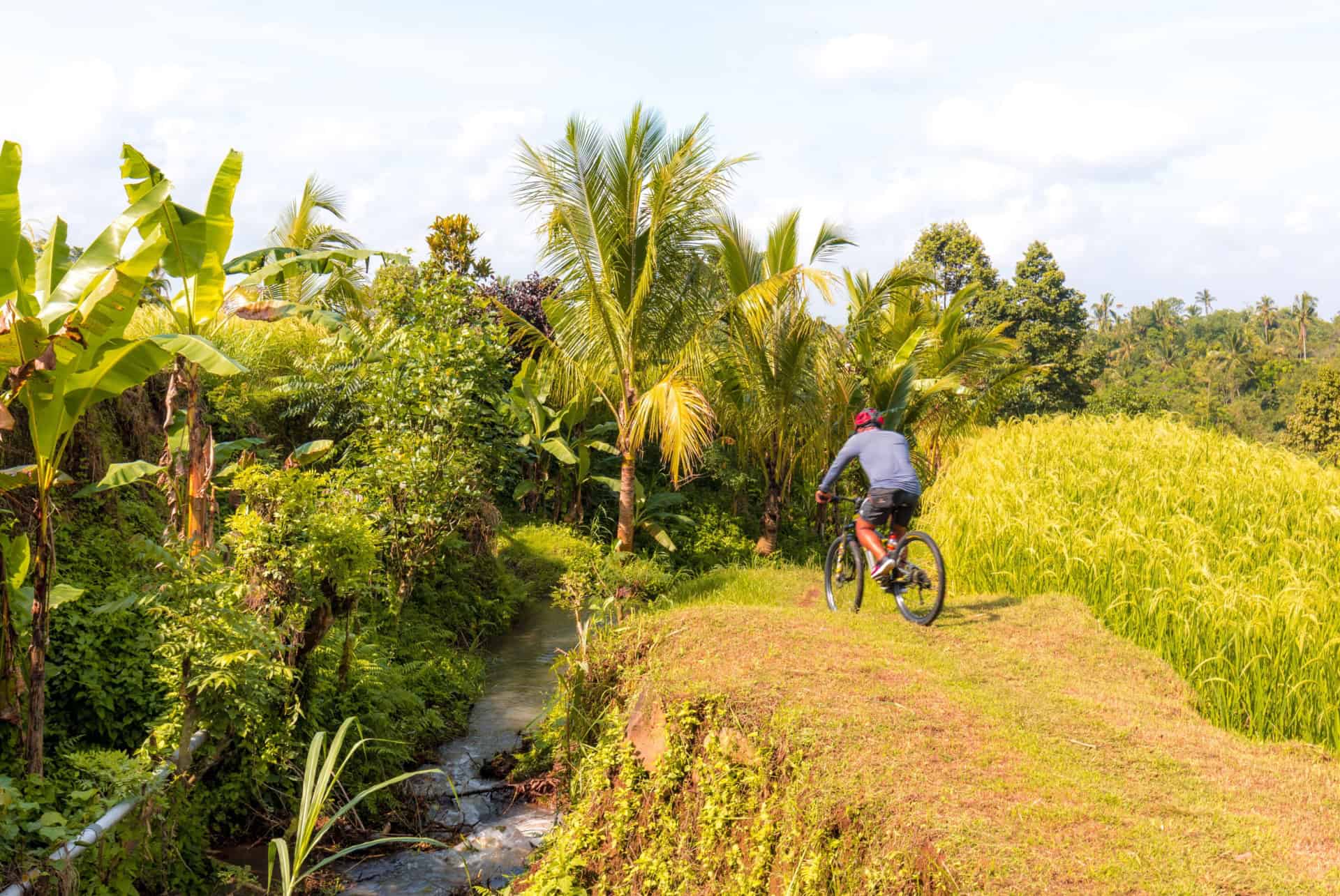 ubud visite guidee en vtt ou quad ubud visite guidee en vtt ou quad