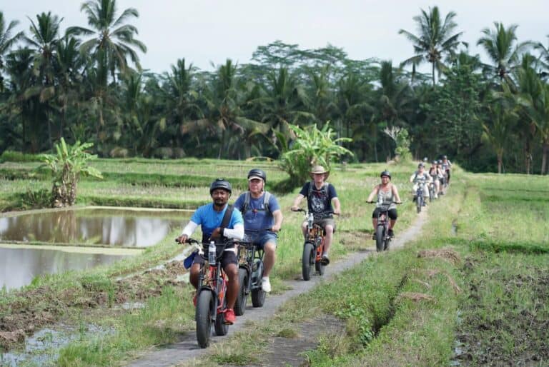 Visite des rizières à vélo