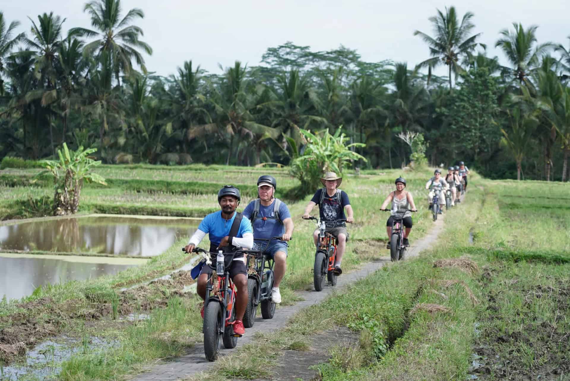 visite e bike tegallalang visite e bike tegallalang