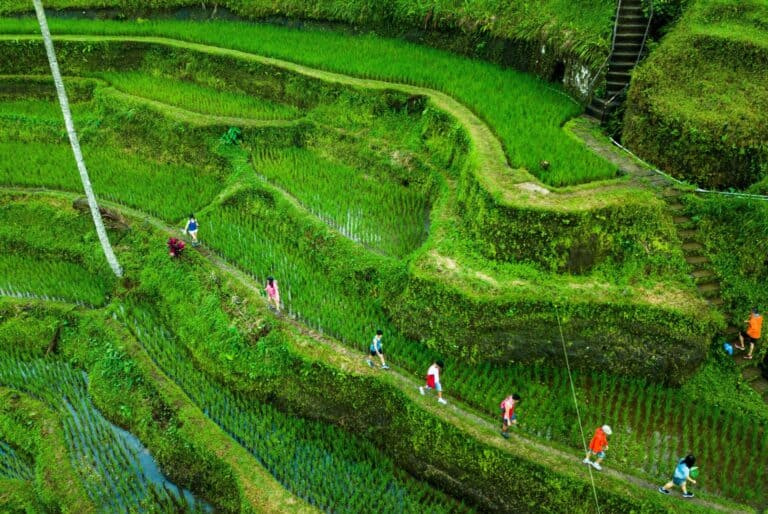 Visite privée dans la région d'Ubud