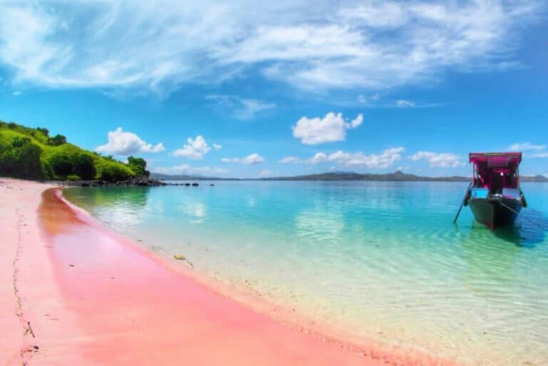 Excursion privée exclusive à la plage rose avec plongée avec tuba