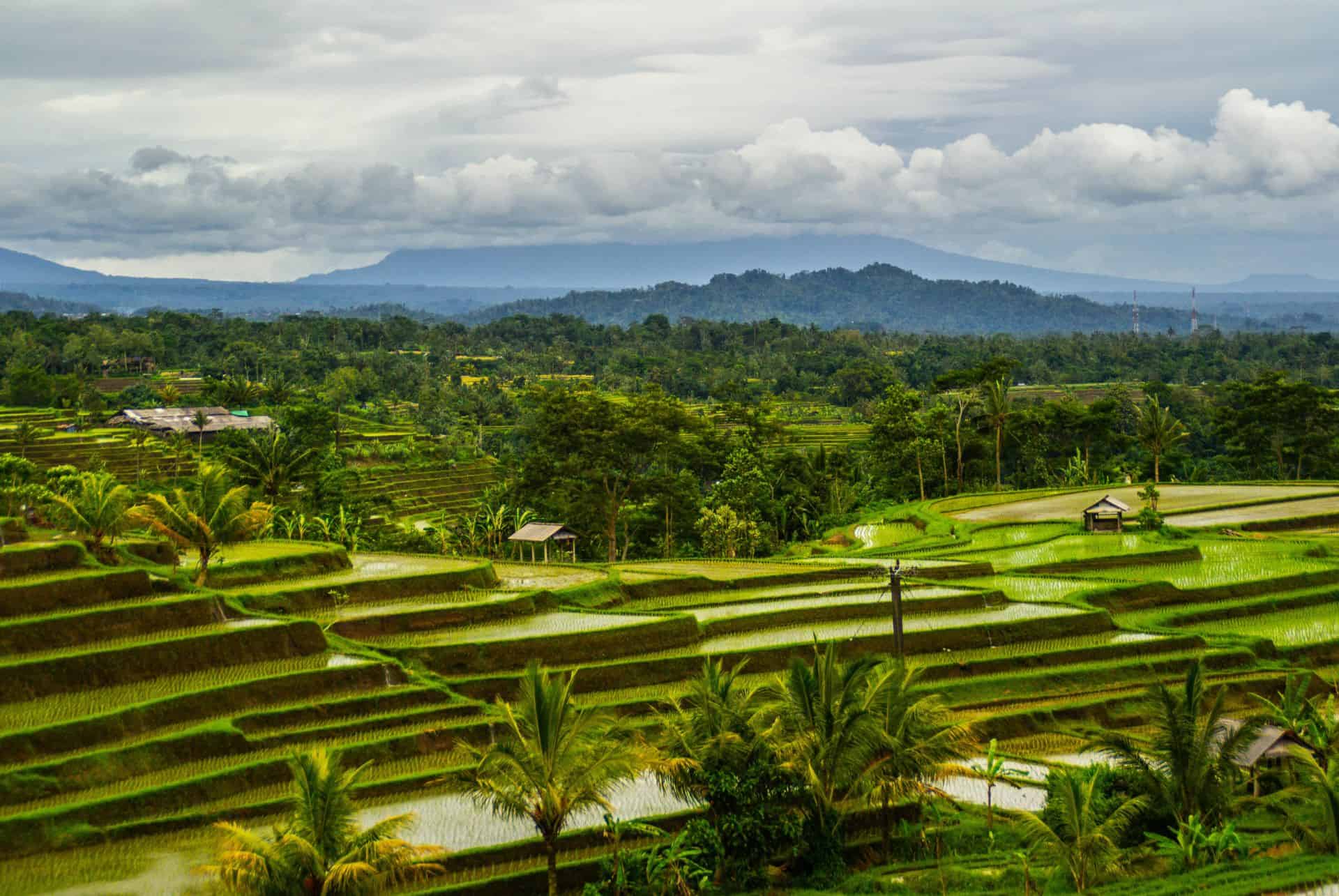 terasse de jatiluwih terasse de jatiluwih