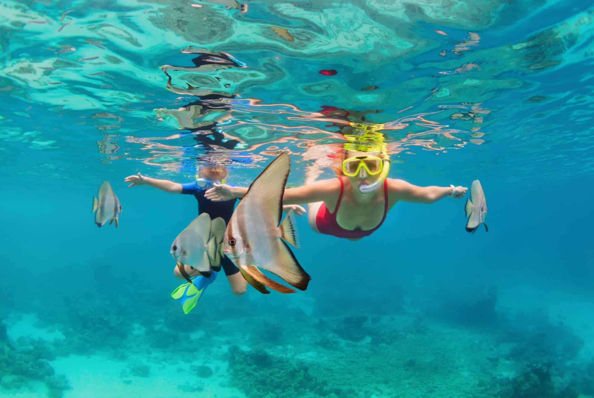 ile de menjangan bali