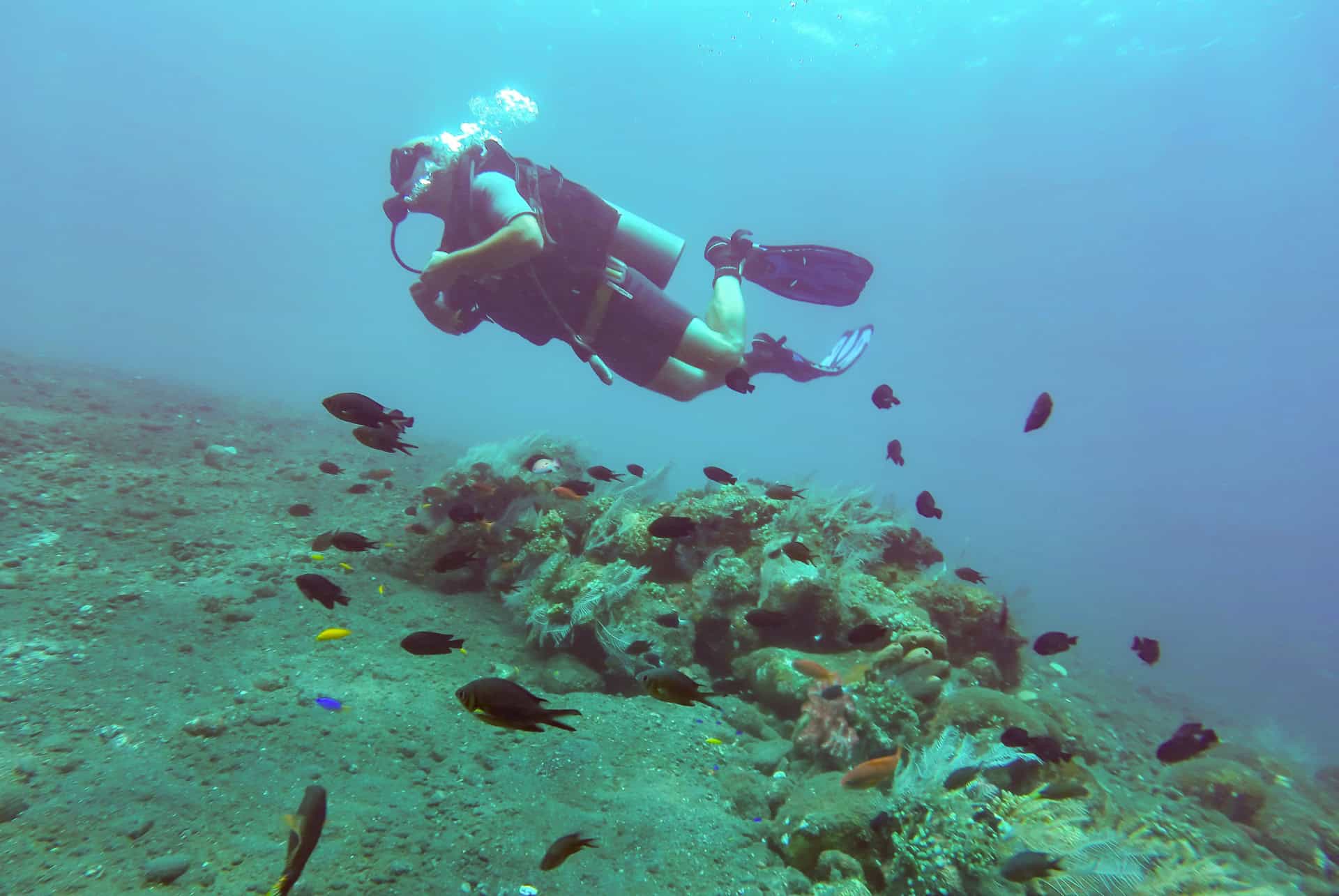 amed plongee a bali amed plongee a bali