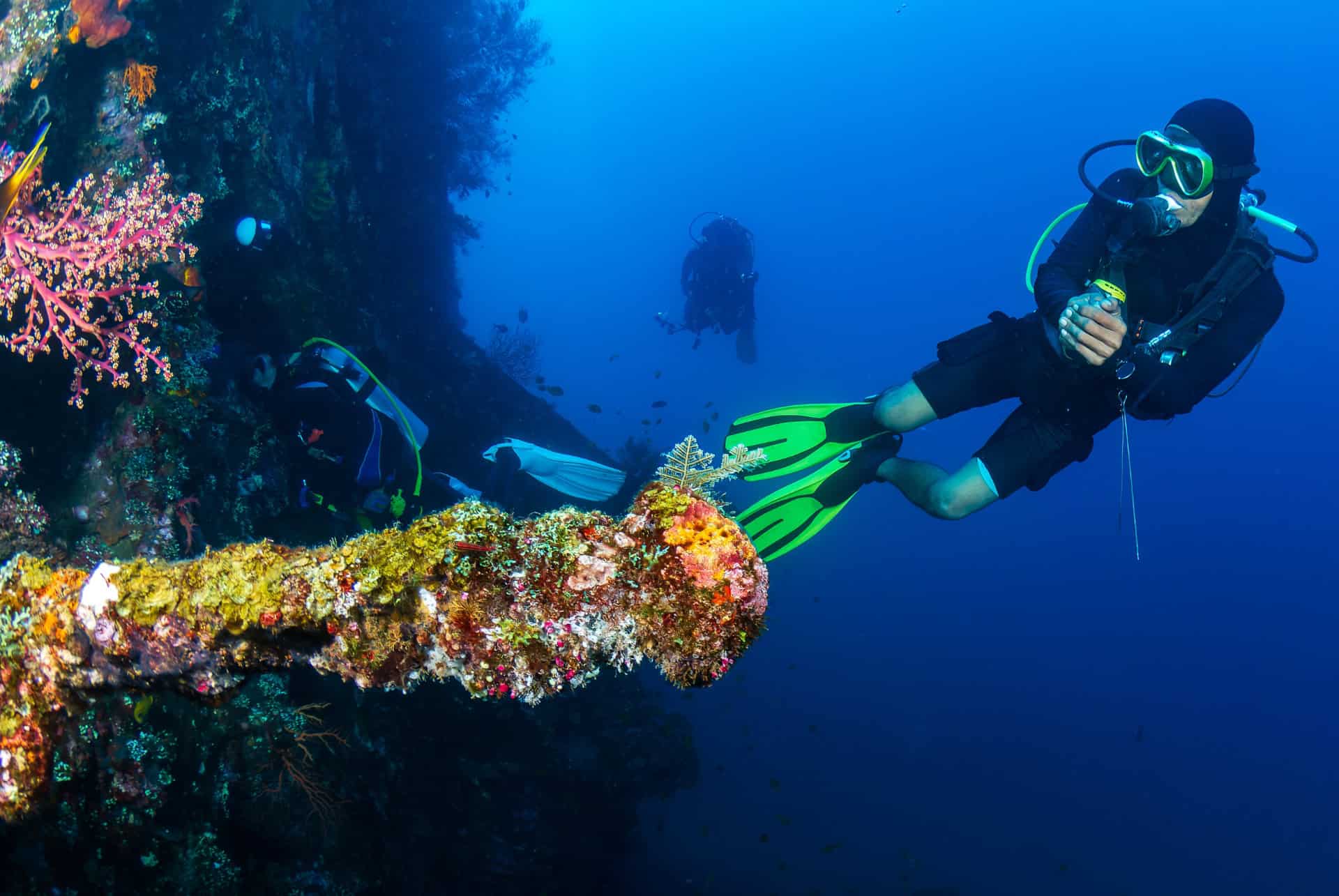 conditions plongee usat liberty conditions plongee usat liberty