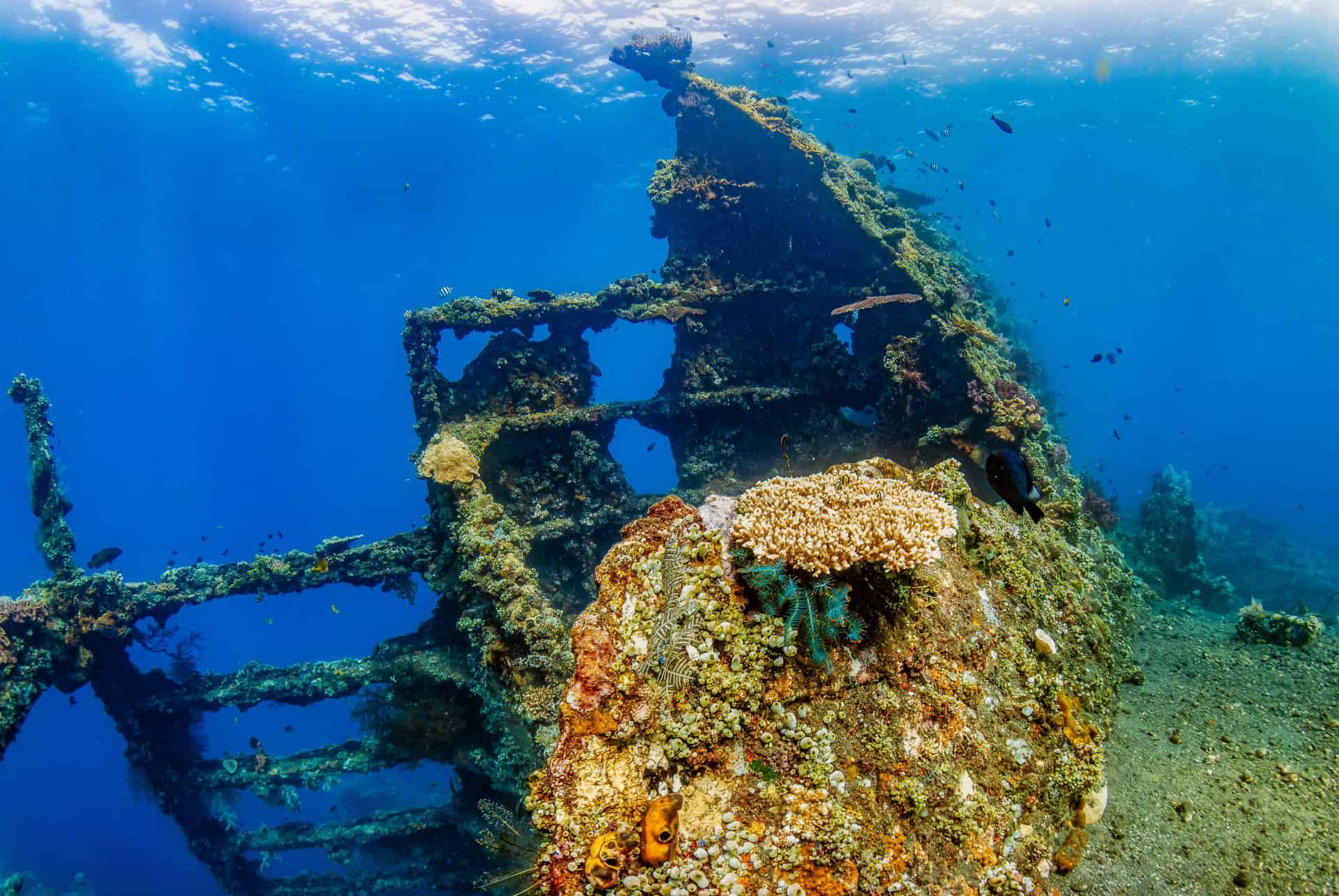 epave usat liberty epave usat liberty