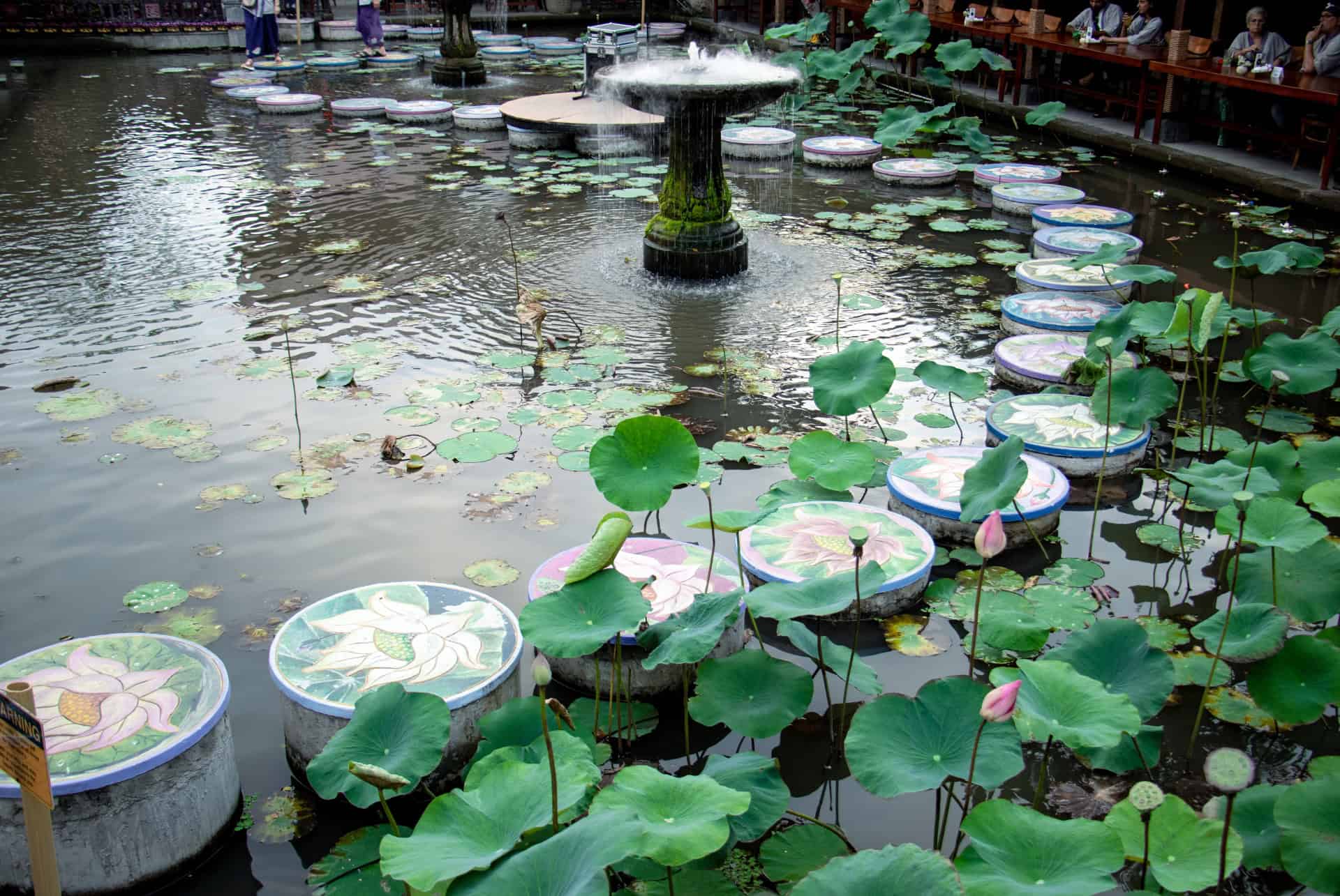 palais ubud bassin lotus palais ubud bassin lotus